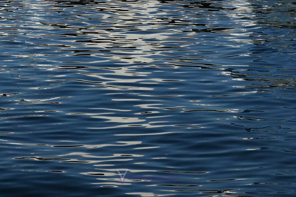 Zürichsee